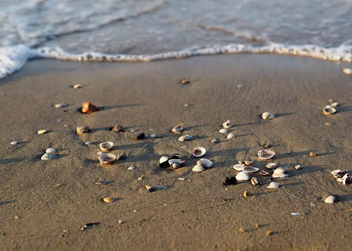 Apartment Charming Seaside Escape With Bright Interiors Bibione